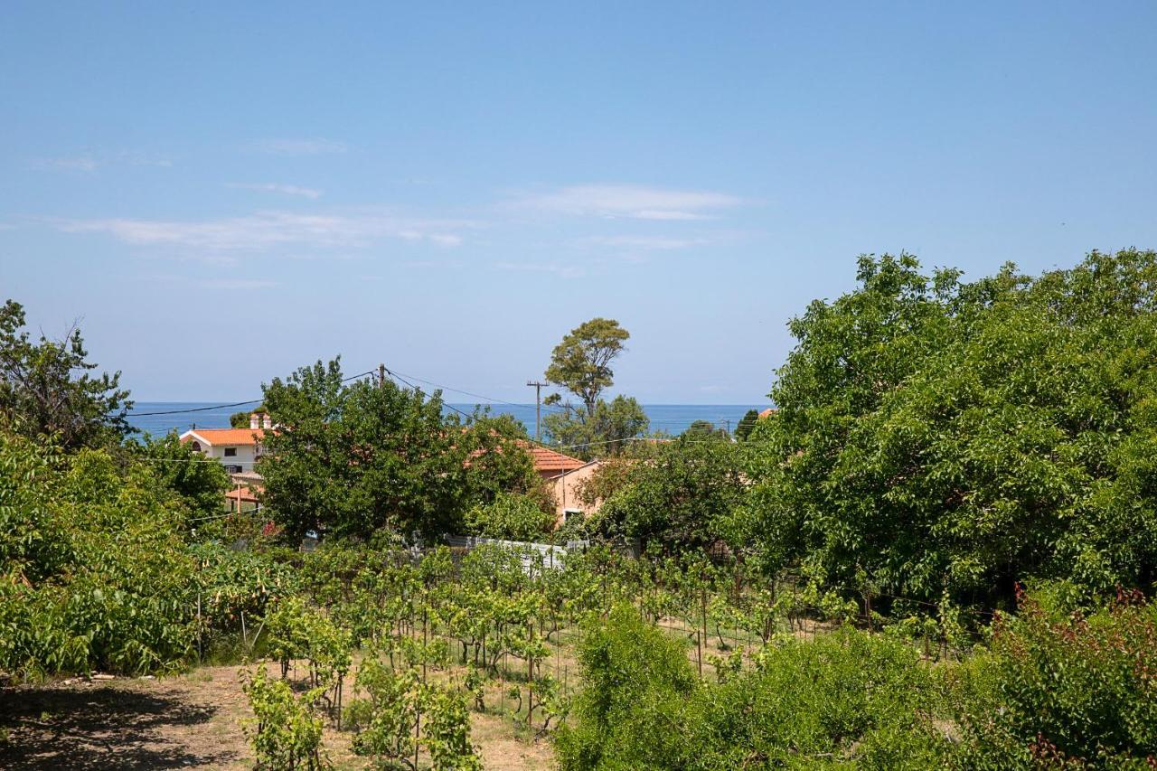 Irini Apartments And Studios Agios Gordios  Exterior photo